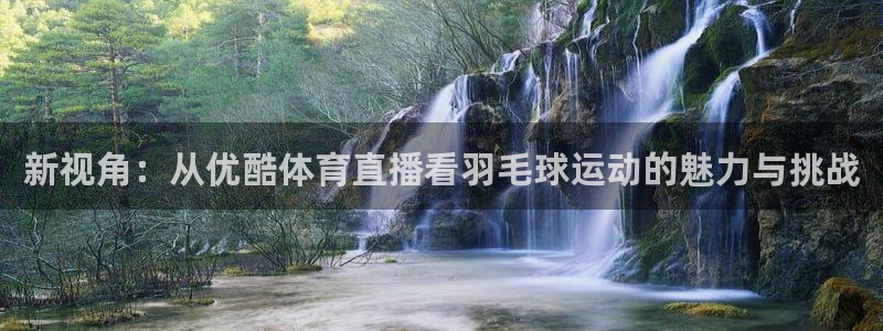 nba直播玩球直播：新视角：从优酷体育直播看羽毛球运动的魅力与挑战