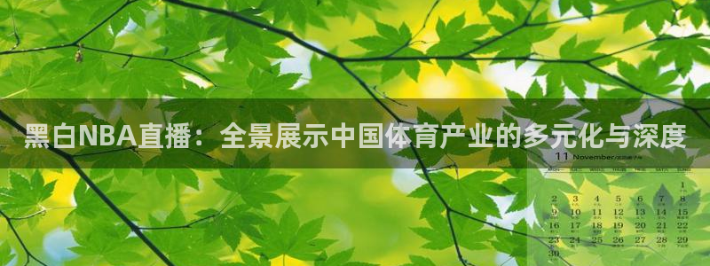 玩球直播在线：黑白NBA直播：全景展示中国体育产业的多元化与深度