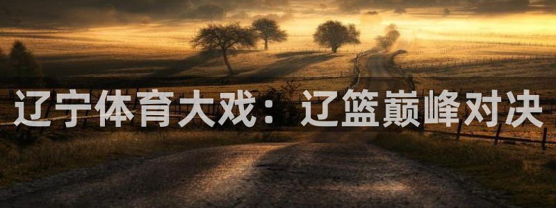 玩球直播在线观看：辽宁体育大戏：辽篮巅峰对决