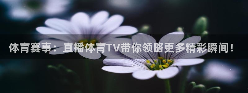 玩球吧直播nba体育直播在线观看：体育赛事：直播体育TV带你领略更多精彩瞬间！